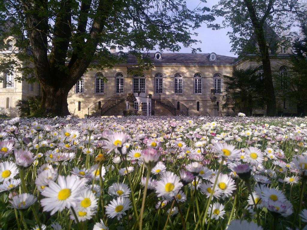 Podensac Chambres D'Hotes La Chartreuse Des Eyres المظهر الخارجي الصورة